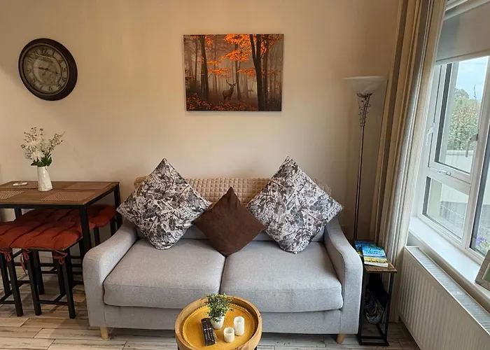 The Casan * Letterkenny